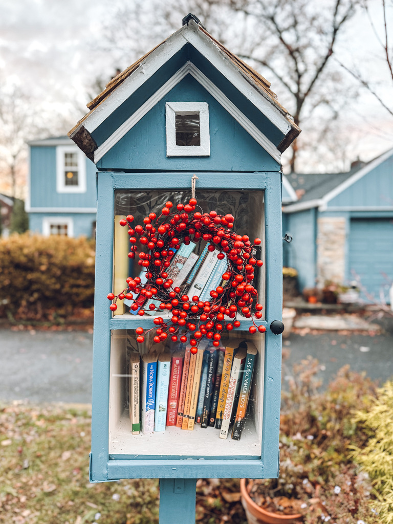 DIY Little Free Library